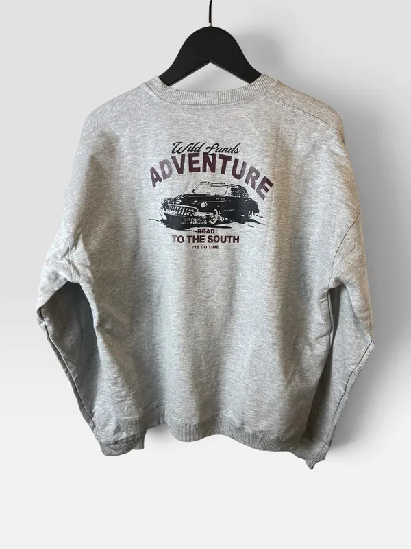 Buzo gris estampado bas