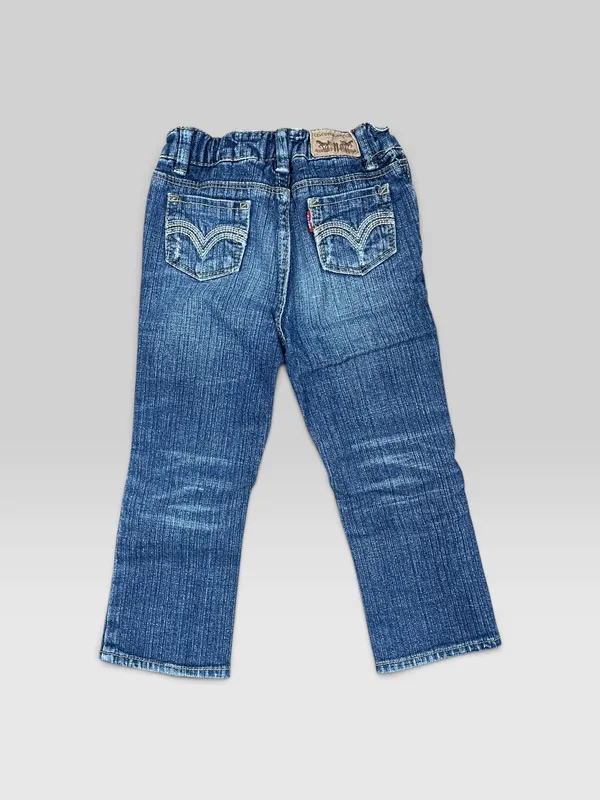 Jean levis