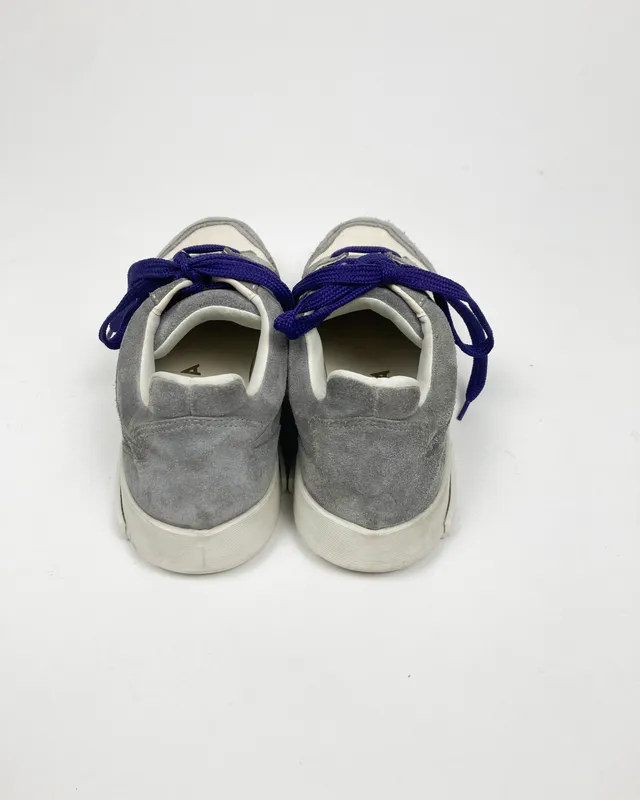 Championes gris rotunda