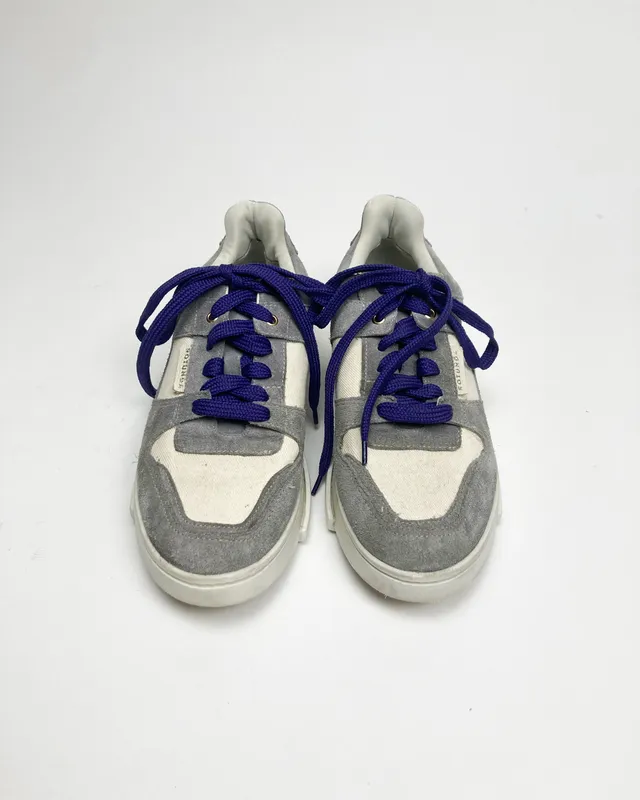 Championes gris rotunda