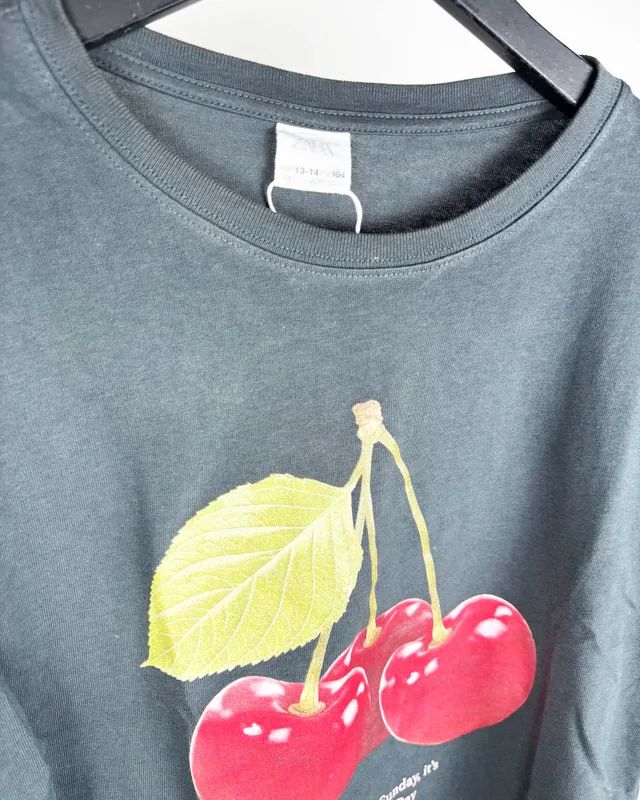 Remera mc gris c/cherrys zara