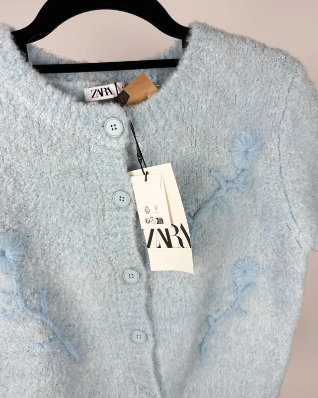 Saco celeste bordado zara