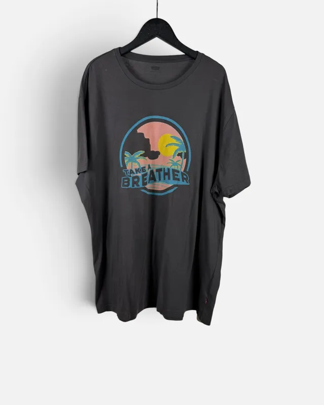 Remera gris estampada levis