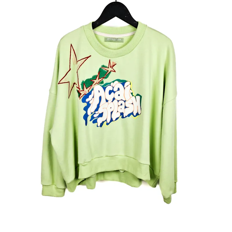 Sweater de felpa verde claro con estampa y bordado justa petra