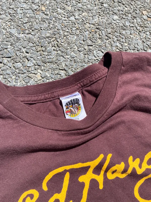 REMERA ED HARDY