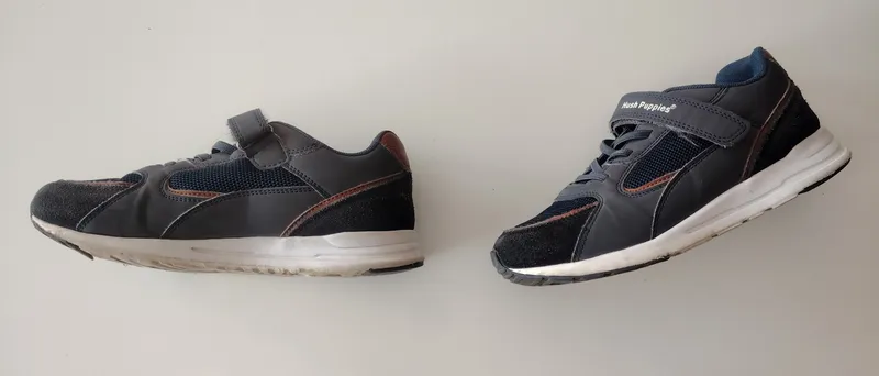 Championes. hush puppies. talle 37 eur.