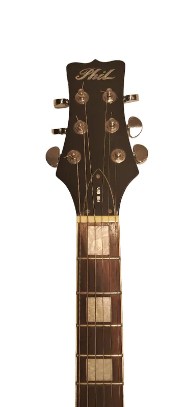 Guitarra electrica phil pro 335 fm805