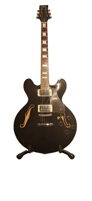 Guitarra electrica phil pro 335 fm805