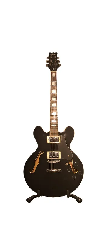 Guitarra electrica phil pro 335 fm805