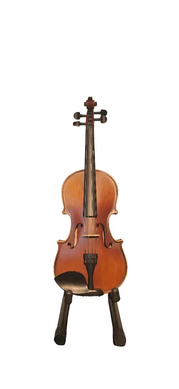 Violin alabama GVT002B 4/4