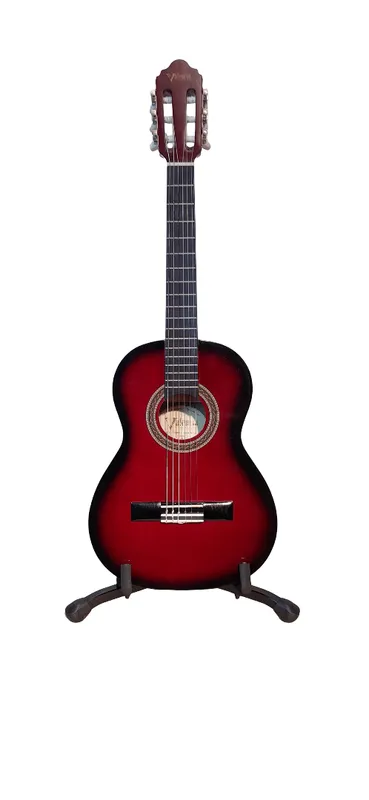 Guitarra valencia vc102 rds