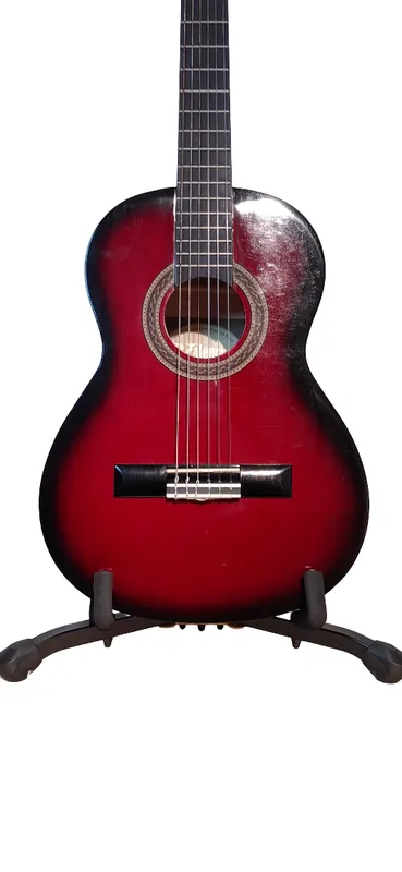 Guitarra valencia vc102 rds