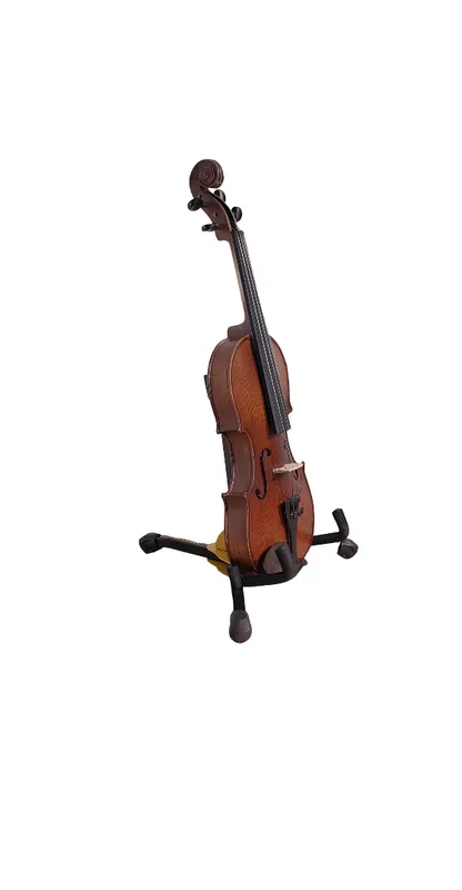 Violin jinqu 4/4 JVN01