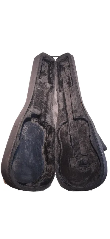 Guitarra electroacustica seagull maritime con estuche