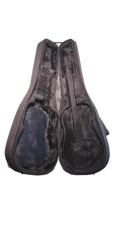 Guitarra electroacustica seagull maritime con estuche