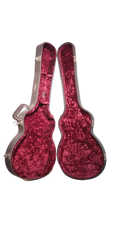 Guitarra electrica taylor t3/b