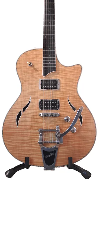 Guitarra electrica taylor t3/b