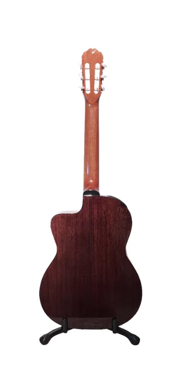 Guitarra electroacustica takamine cg5ce