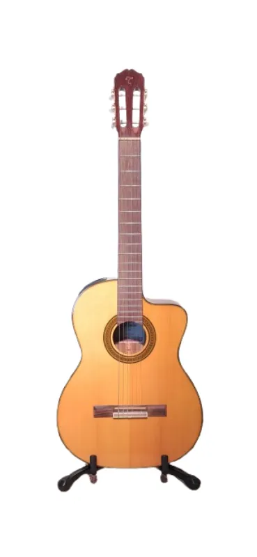 Guitarra electroacustica takamine cg5ce