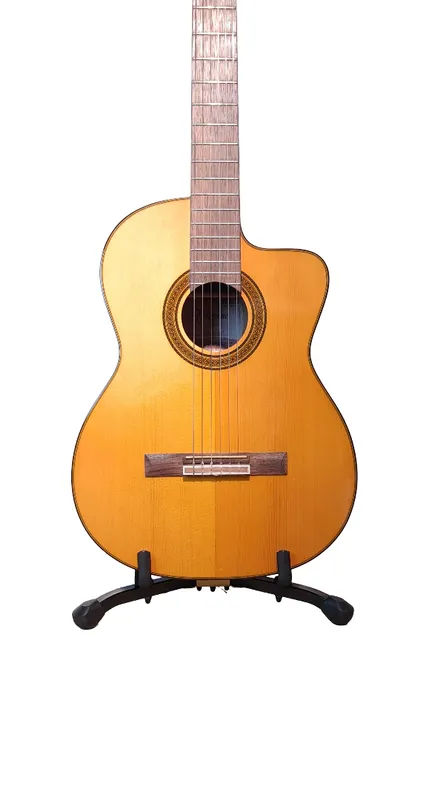 Guitarra electroacustica takamine cg5ce