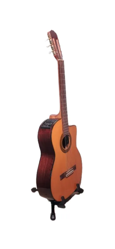 Guitarra electroacustica takamine cg5ce