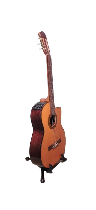Guitarra electroacustica takamine cg5ce