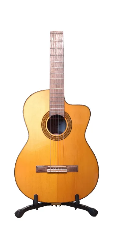Guitarra electroacustica takamine cg5ce