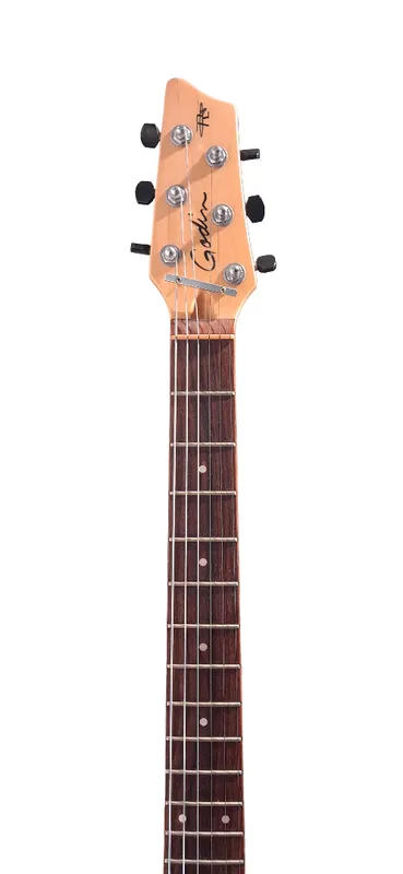 GUITARRA ELECTRICA GODIN RADIATOR BLACK ONYX