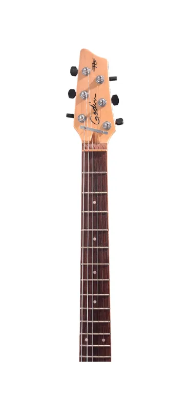 GUITARRA ELECTRICA GODIN RADIATOR BLACK ONYX