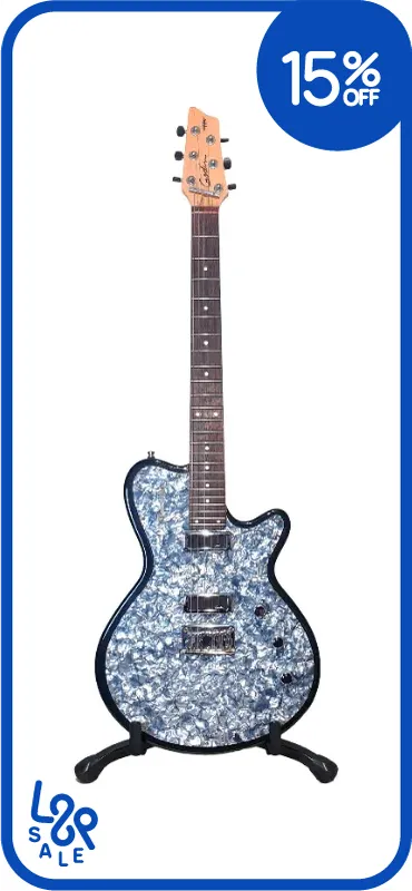 GUITARRA ELECTRICA GODIN RADIATOR BLACK ONYX