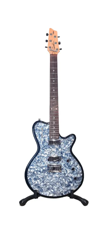GUITARRA ELECTRICA GODIN RADIATOR BLACK ONYX