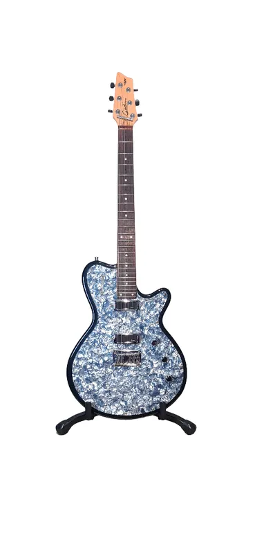 GUITARRA ELECTRICA GODIN RADIATOR BLACK ONYX