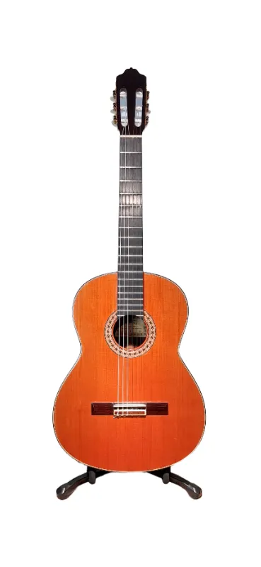 GUITARRA CLASICA ESTEVE 1GR08 CON ESTUCHE