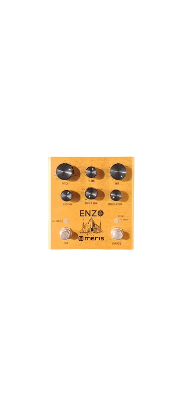 PEDAL SYNTH MERIS ENZO