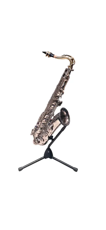 SAXO TENOR LINCOLN JYTS1103N SILVER