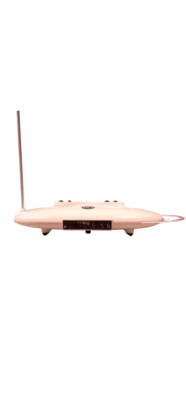 Theremin moog Theremini