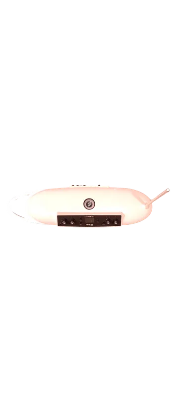 Theremin moog Theremini