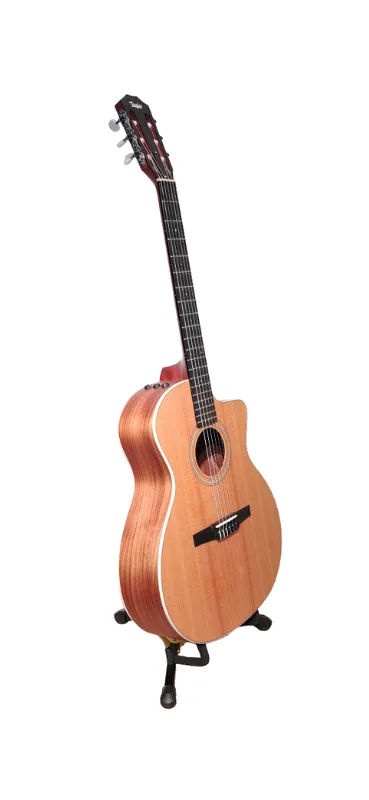 Guitarra taylor 214ce-n