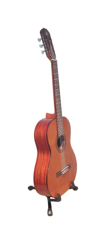 Guitarra clasica admira paloma