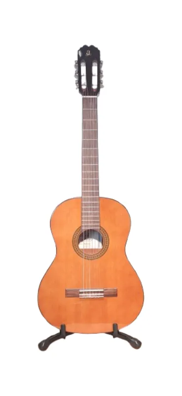 Guitarra clasica admira paloma