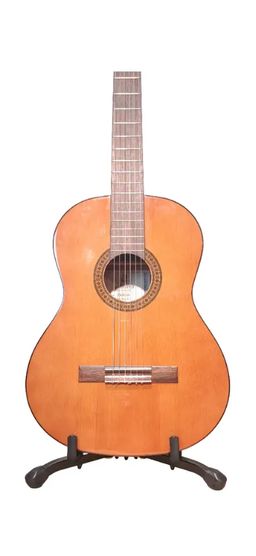 Guitarra clasica admira paloma