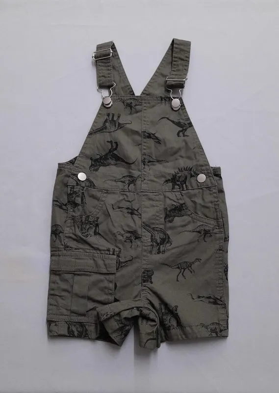 Jrdinero dinosaurios wonder nation 24m