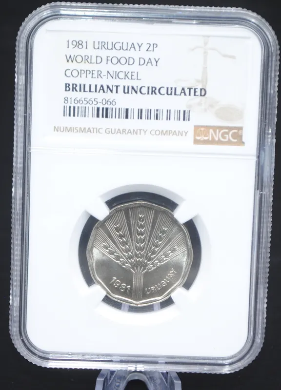 Moneda uruguay 2 n$