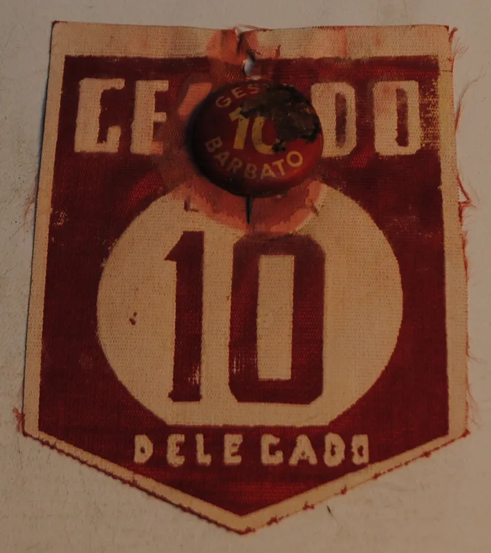 Insignia de delegado