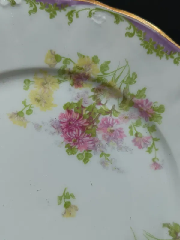 Plato de porcelana francesa saberat limoges vintage